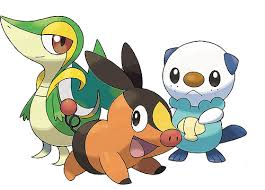 What Is Your Partner Pokemon?
