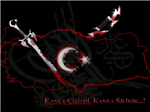 Ulusal Anket Vote&Sub Pls