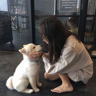 Tes hewan apakah kamu?...