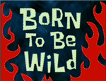 What Music Are You Like?