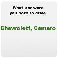 What Car Were You Born To Drive.
