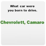 What Car Were You Born To Drive.