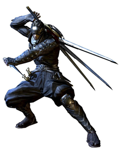 Ninja Mı Samuray Mı
