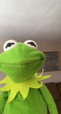 Macam Mana Kau Terhadap Member Kau