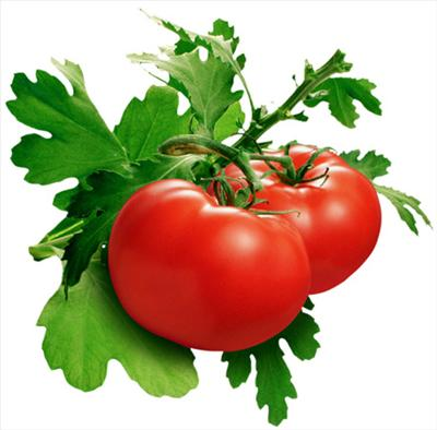 Which Vegetable Are You?