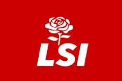 LSI***