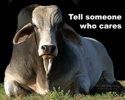 How Funny Are You??