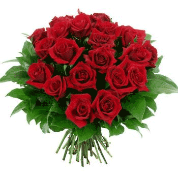 Un ramo de rosas