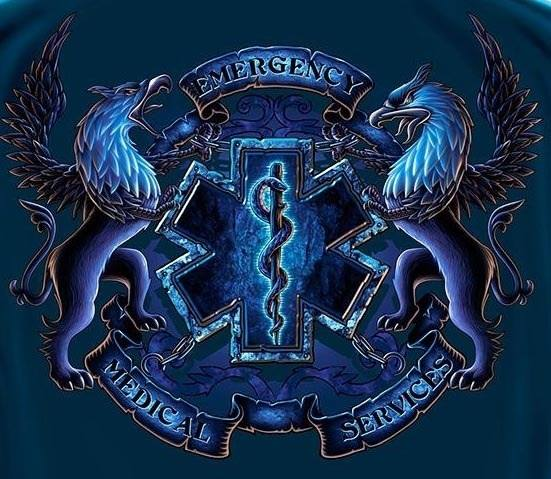 Could You Work In Ems