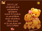 Gerçek Bir Dostmusunuz