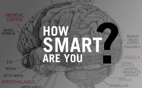 How Smart You Are ?