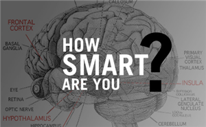 How Smart You Are ?
