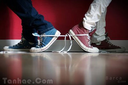 تـــــــنهای عـــــشــــــق ...