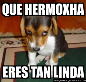 Que Tan Lindo Eres