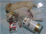 เมาไหมคืนนี้