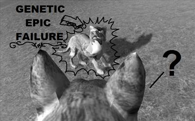 Wolf Trivia