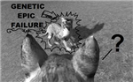 Wolf Trivia