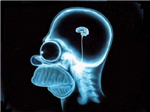 Q Tan Inteligente Sos???