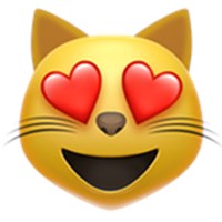 Bir Kedi Sahiplenmeye Hazır Mısın?😺