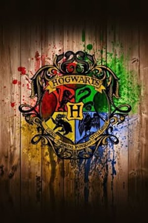 Que casa de Hogwarts erases?