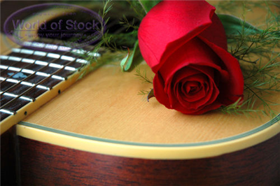 What Instument Will You Play In The Future?
