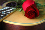 What Instument Will You Play In The Future?