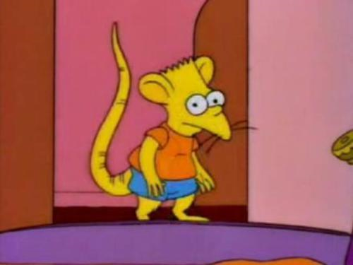 ¿Eres Niño Rata O No?