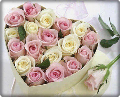 ROSES