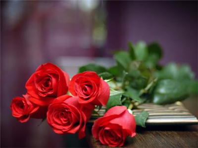 HAVE A NİCE DAY