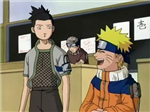 What Is Your Ninja Rank?