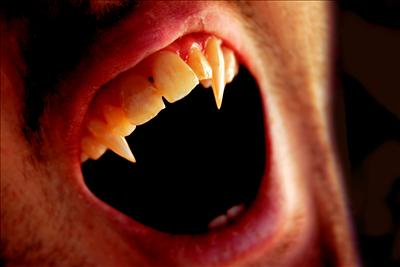 Vampire Or  Human