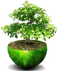 Do You Think Earth First?