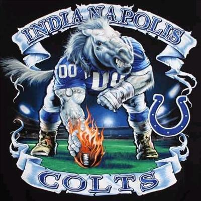 Super Bowl 2010