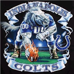 Super Bowl 2010