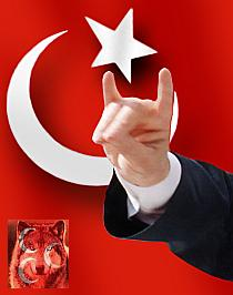 Mhp Lismısn Akp Lmsın