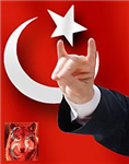 Mhp Lismısn Akp Lmsın