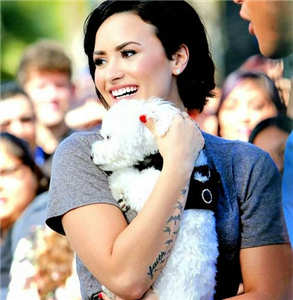 Demi Lovato Yu Seviyor Musn