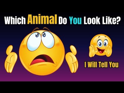 Which animal do you look like quiz?