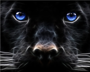 ¿De Que Animal Es Tu Alma?