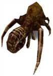 Which Tremulous Alien Are You?