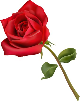 Her Love