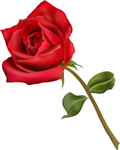 Her Love