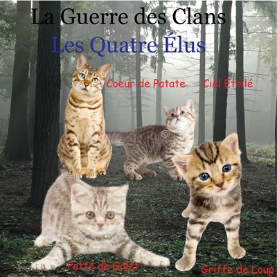 Quelle élus du cycle 2 es-tu