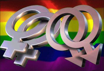 Homo Or Hetero