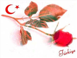 Varmısın Yok Musun 