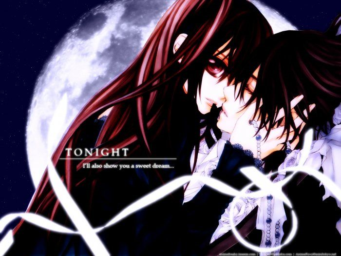 Qui Est-Tu Dans Vampire Knight ?