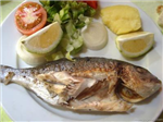 Hayvan İnsan