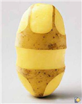 Etes Vous Une Vrai Patate ?