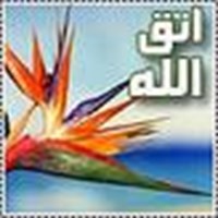 L3arrafa Jennet: "Chnouwa M5obbilek El Mousta9bel 