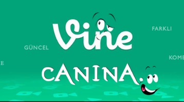 Hangi Vine Cısın